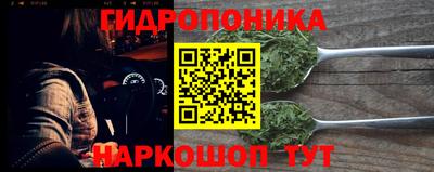 сатива Краснодар