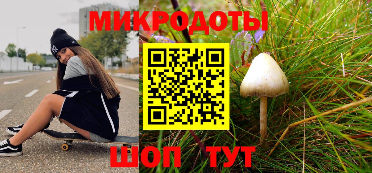 Псилоцибиновые грибы мухоморы Каменск-Уральский